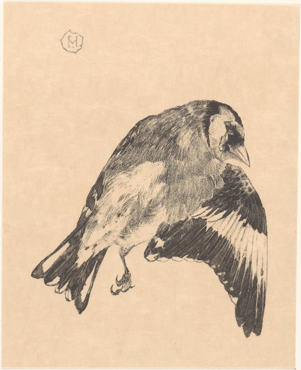 Ölü saka kuşu by Theo van Hoytema