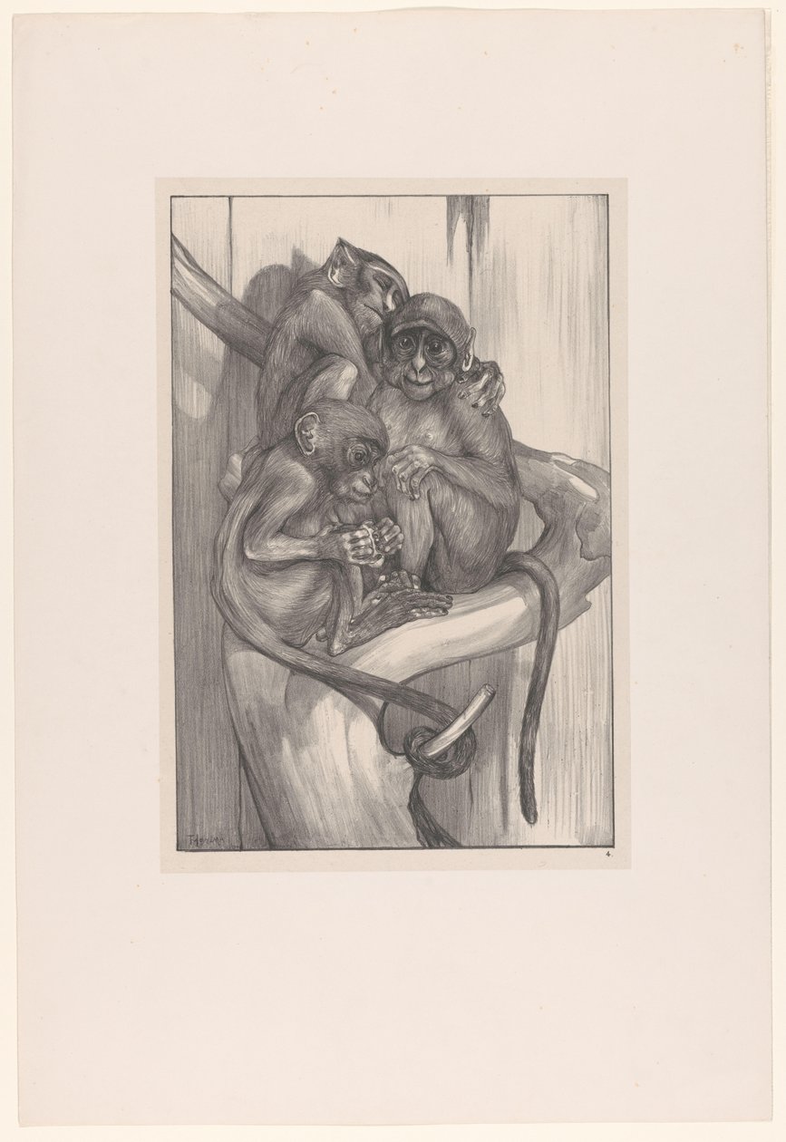 Bir güdük üzerinde üç maymun Hayvan çalışmaları (serinin adı) by Theo van Hoytema
