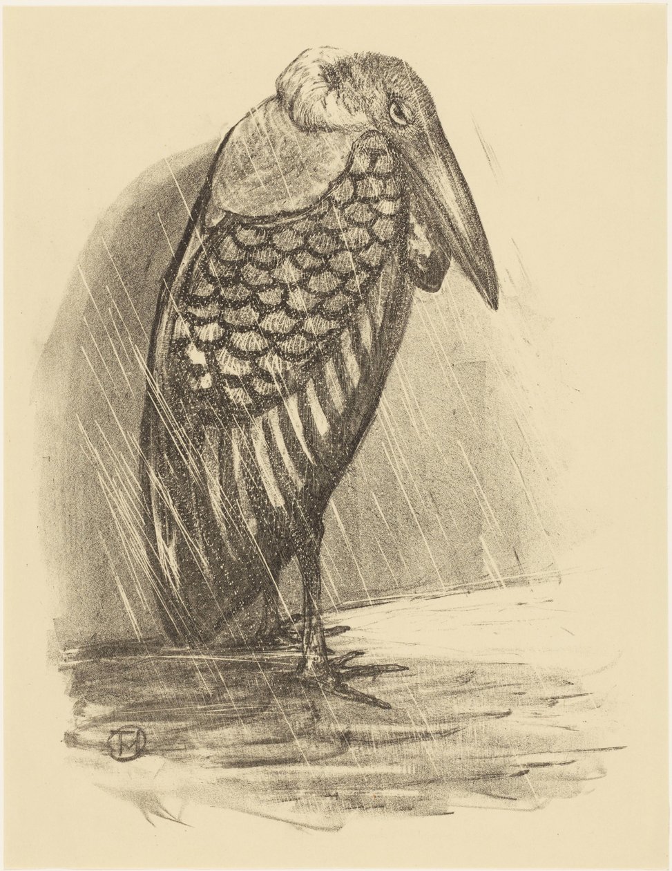 yağmurda Marabu by Theo van Hoytema