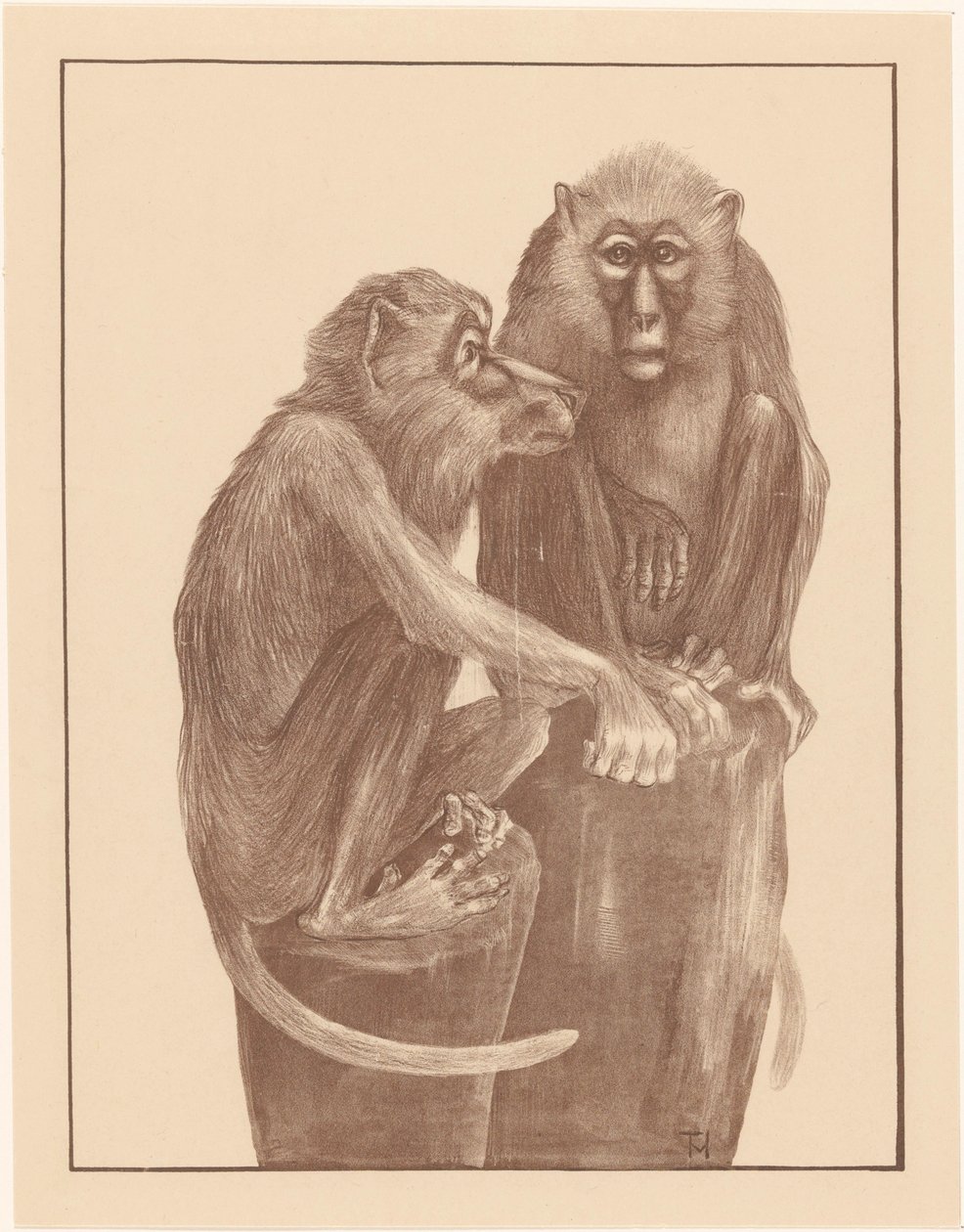 Kütükler üzerinde iki köpek maymunu Hayvan çalışmaları (serinin adı) by Theo van Hoytema
