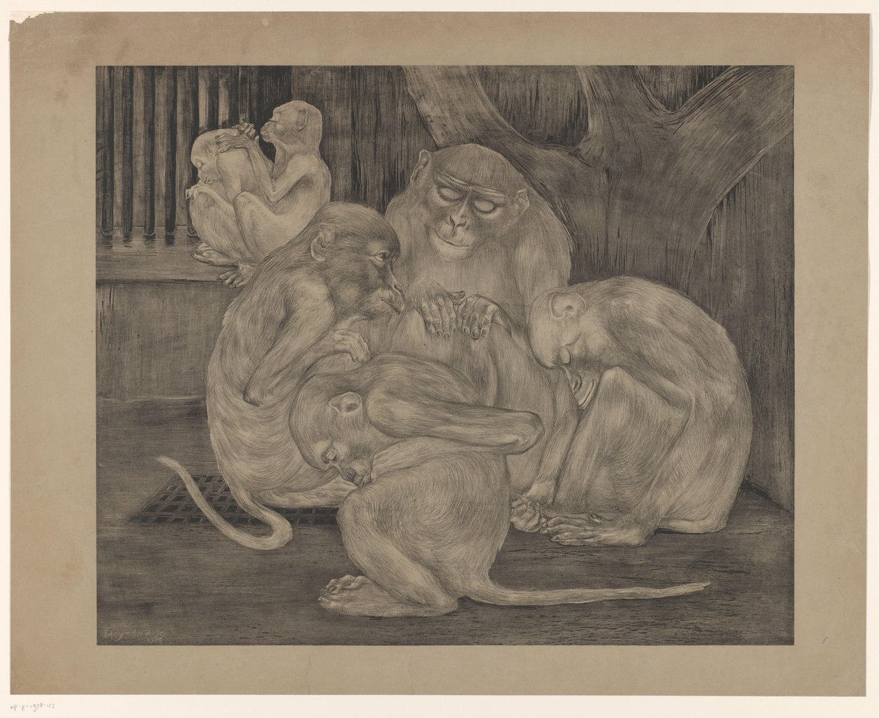Bir kafeste beş maymun by Theo van Hoytema