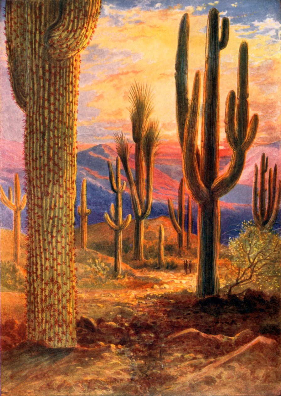  by Theobald Carreras