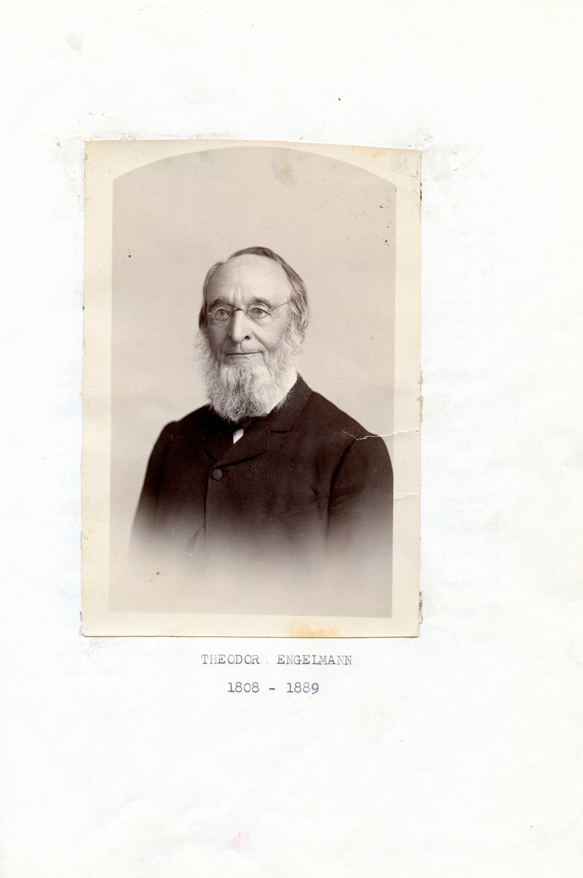 Theodore Engelmann