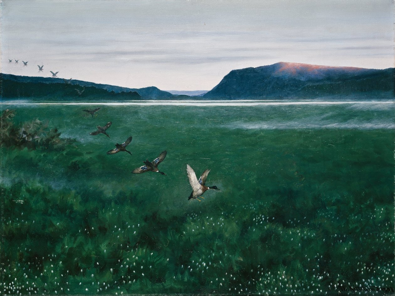 on iki yaban ördeği by Theodor Kittelsen