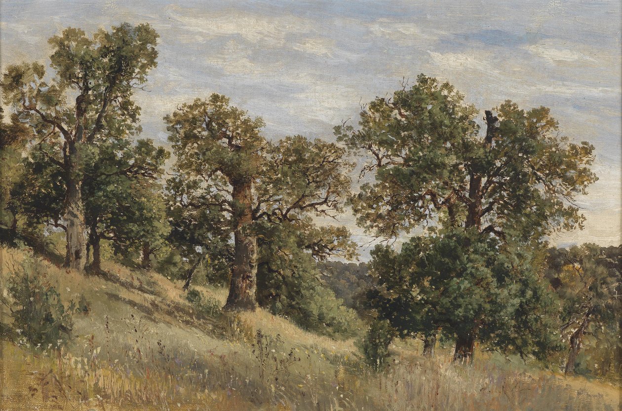 Ağaçlı dağ yamacı by Theodor von Hormann