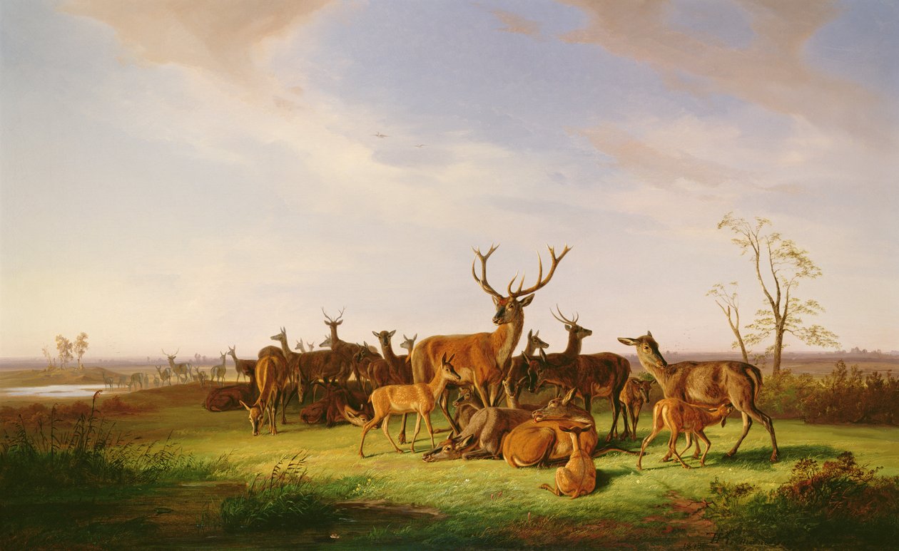 Güneşli Bir Çayırda Geyik Sürüsü by Theodor Julius Kiellerup