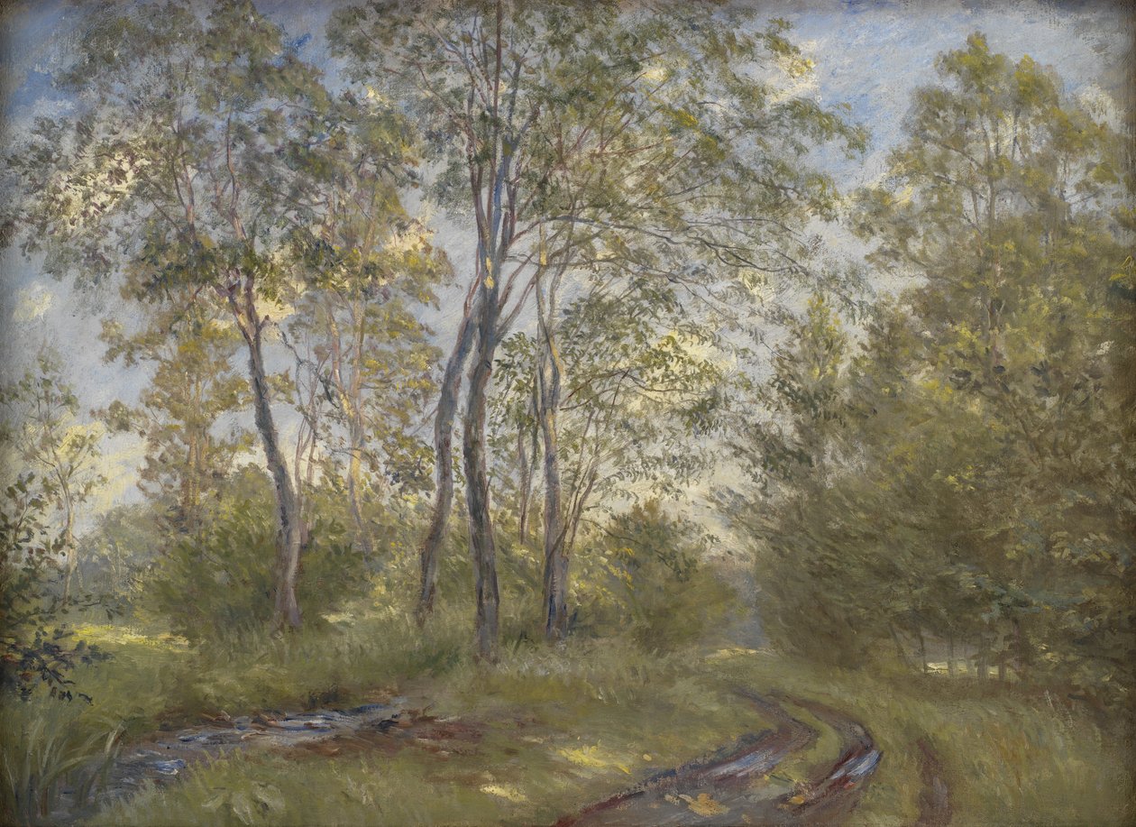 Meilgård Manor, Jutland yakınlarında bir nehir by Theodor Philipsen