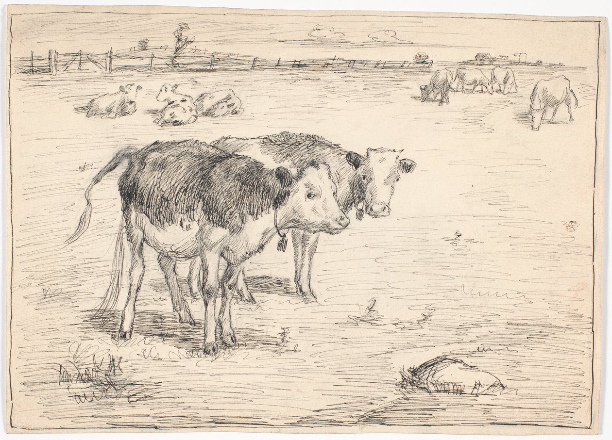 "Fladen", Saltholm