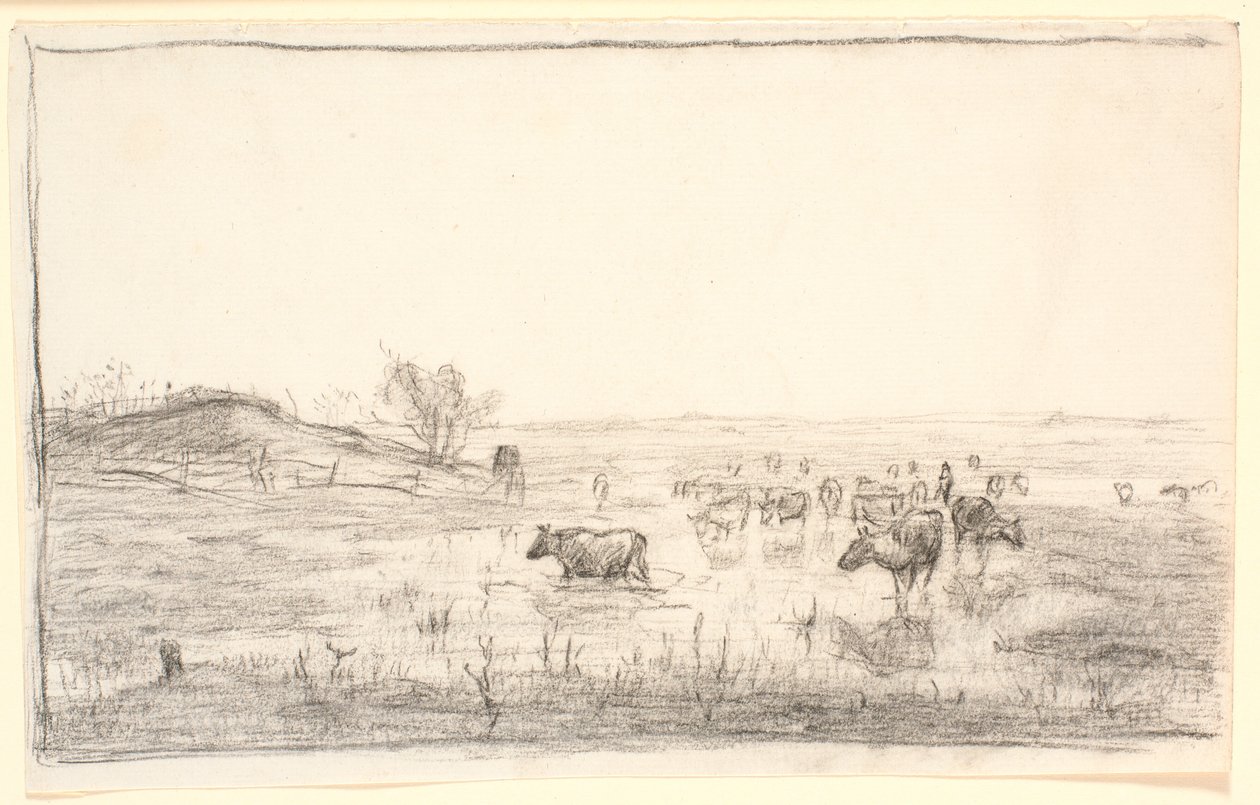 Mejlgaard