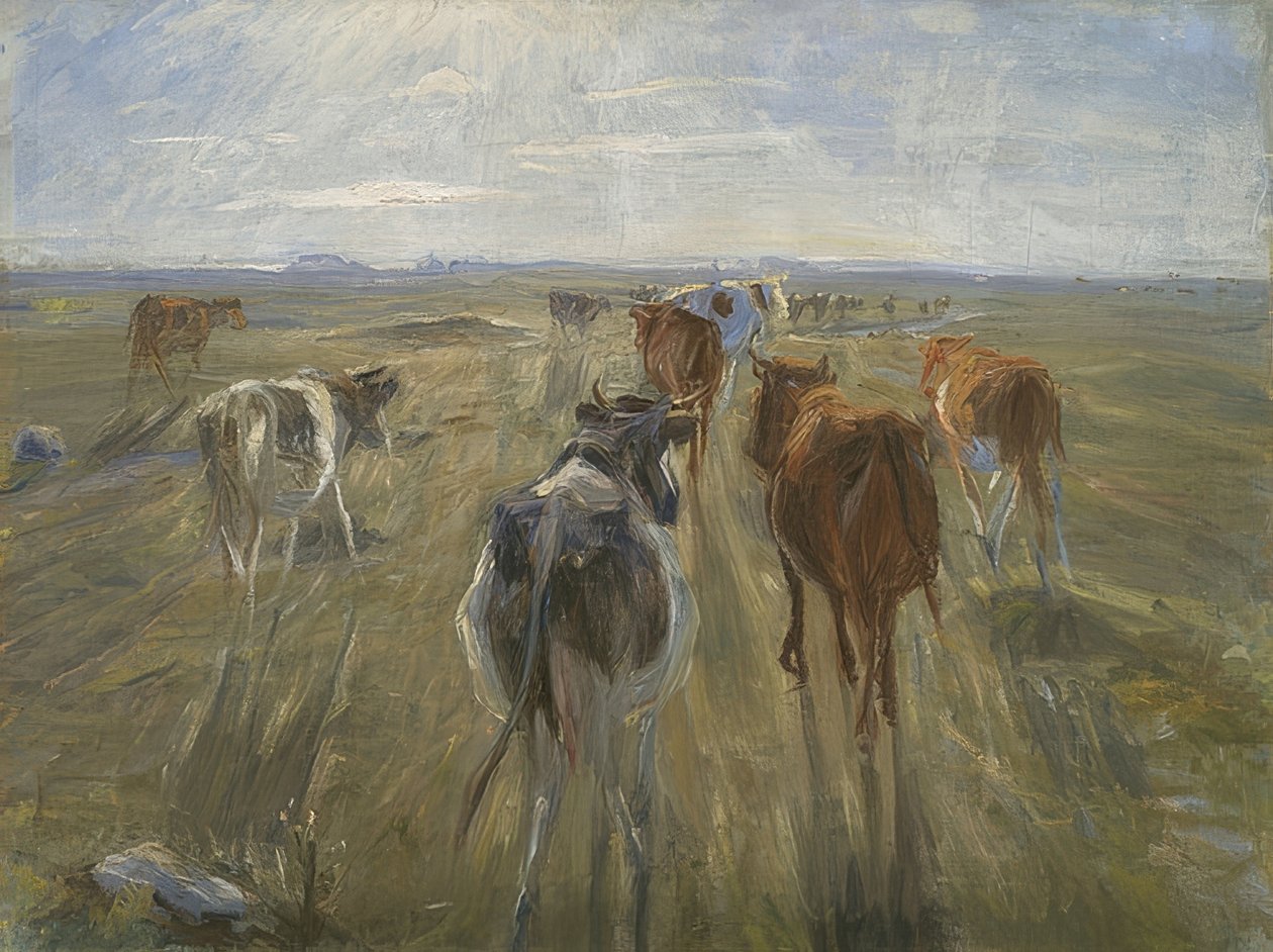 Uzun gölgeler. Saltholm adasındaki inekler. 1890 civarında by Theodor Philipsen