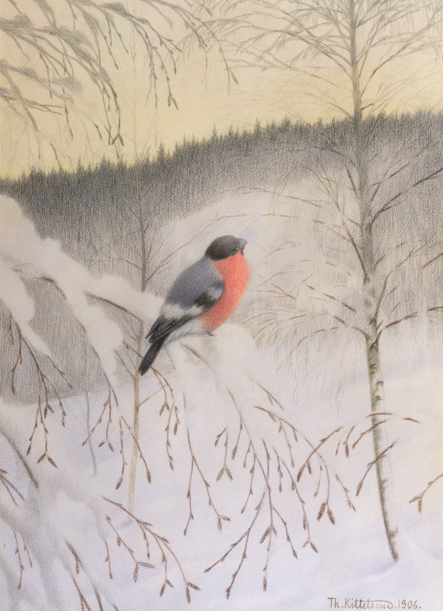 Ayaz Dalda Şakrak Kuşu by Theodor Kittelsen