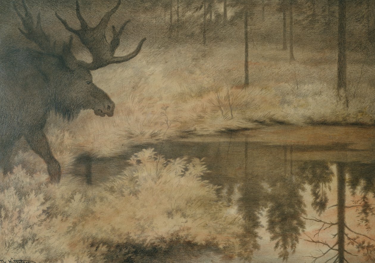Elk susuzluğunu gidermek için geliyor by Theodor Kittelsen