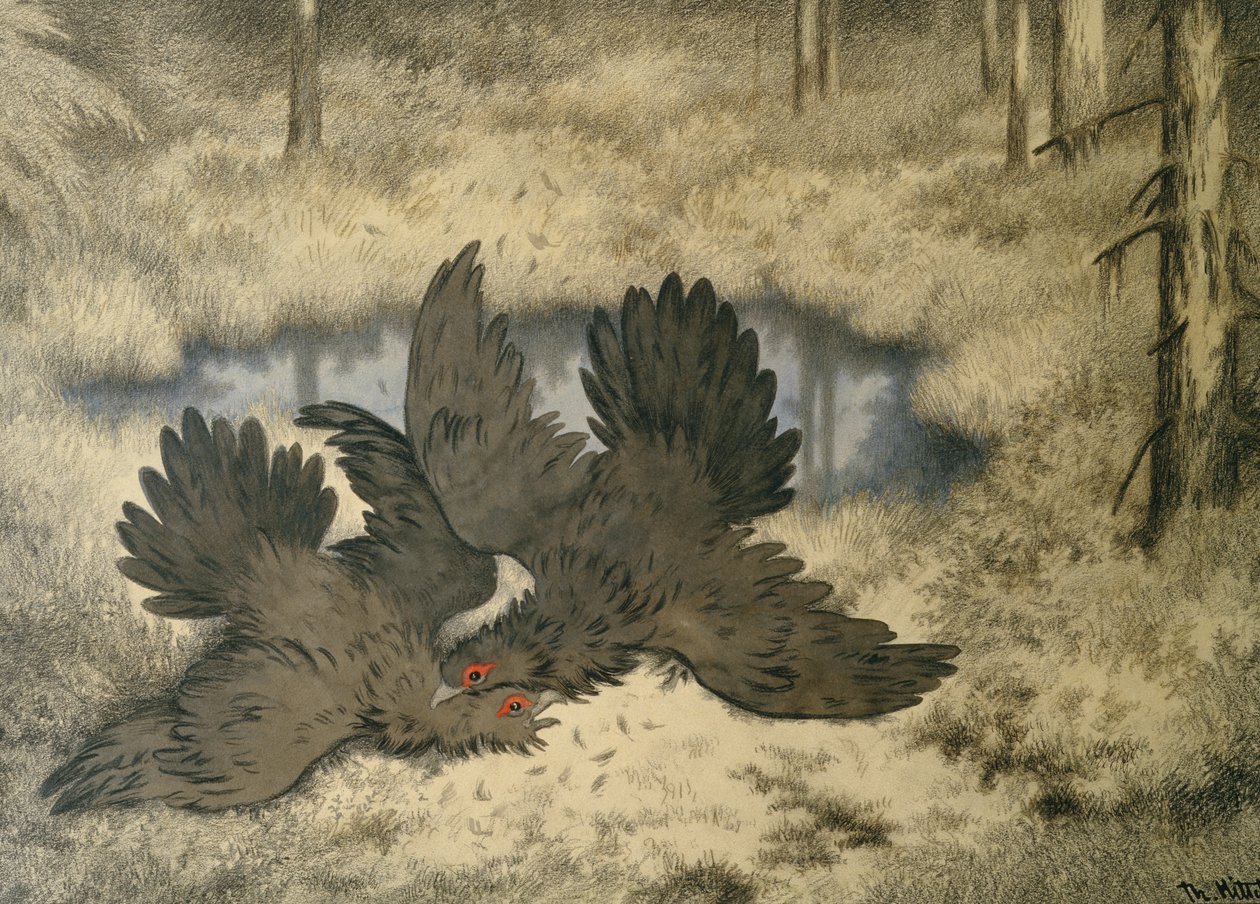 Orada trol kuş dövüşü by Theodor Kittelsen