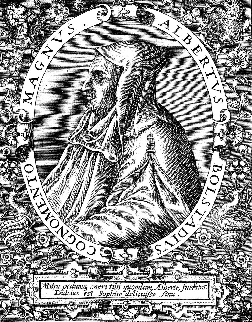 Albertus Magnus c1200-1280 Almanya doğumlu Dominik keşişi, 16. yüzyılın sonlarında by Theodor de Bry