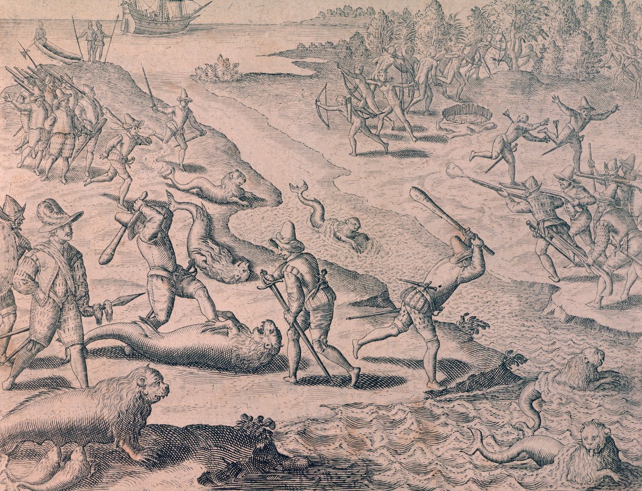 Kaşifler tarafından deniz aslanlarının katledilmesi by Theodor de Bry