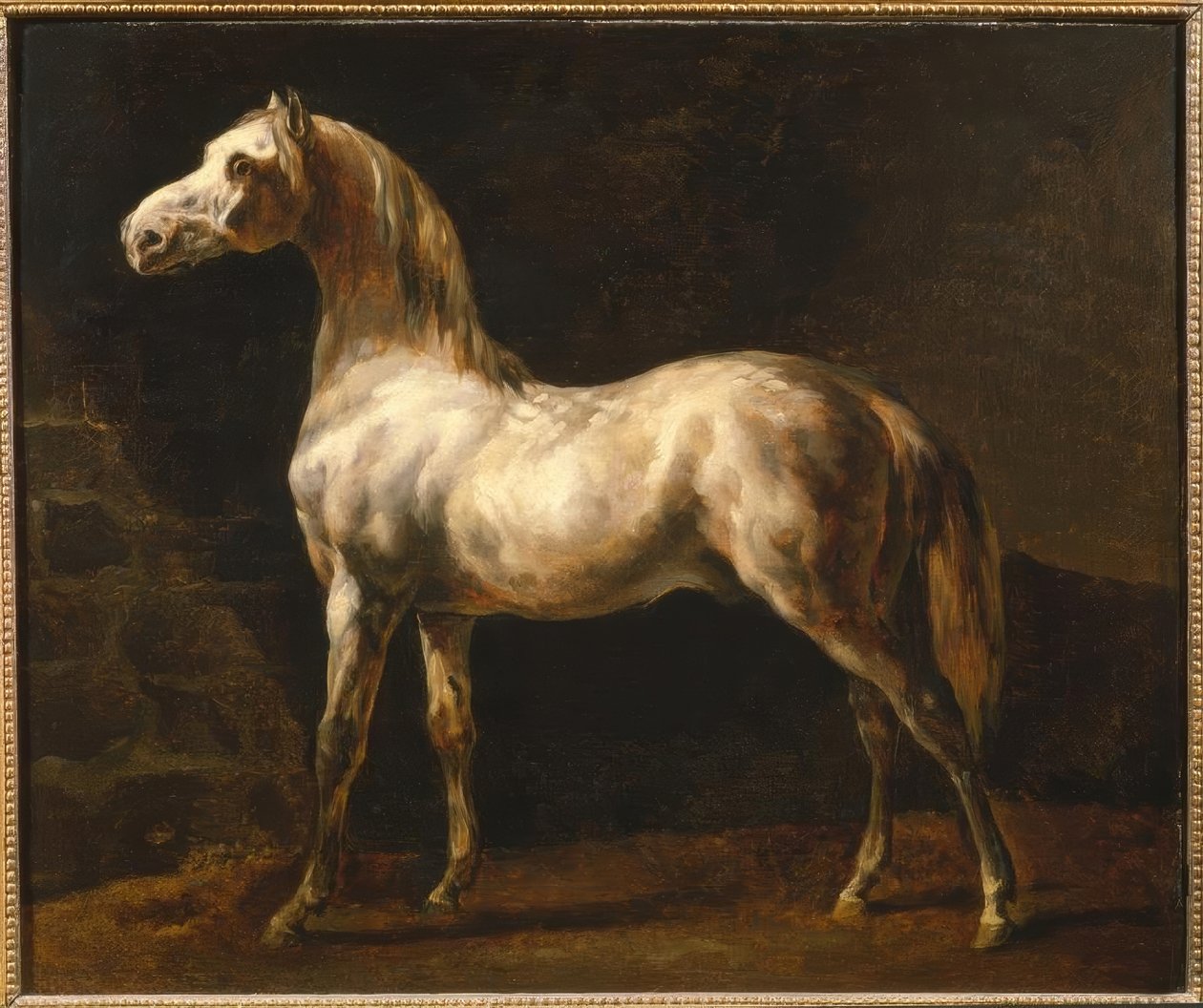 beyaz aygır by Theodore Gericault