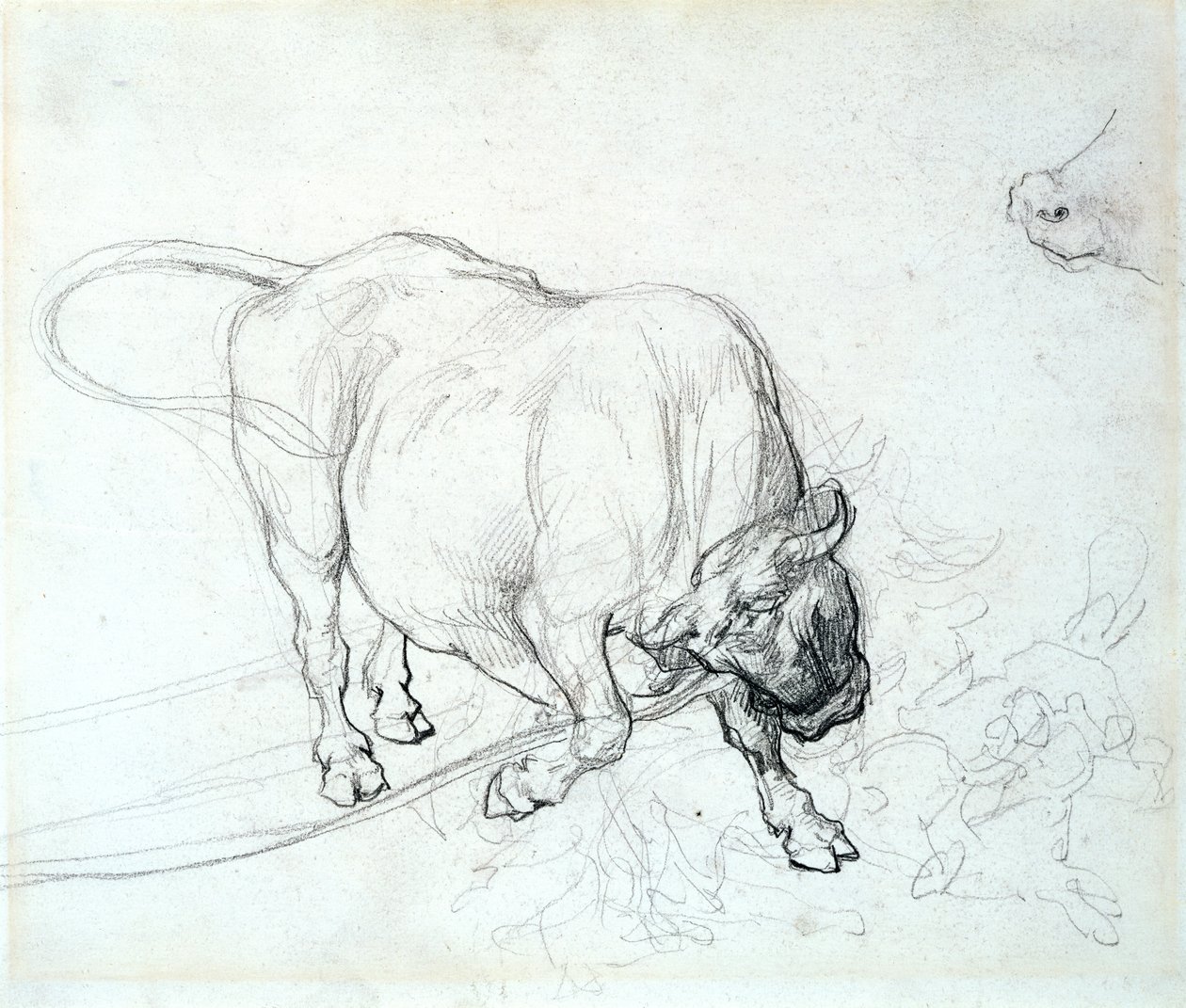 Bir boğa çalışması by Theodore Gericault