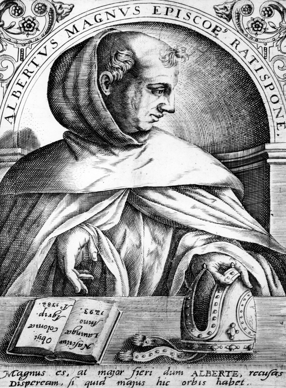 Albertus Magnus, Jean Jacque Boissard