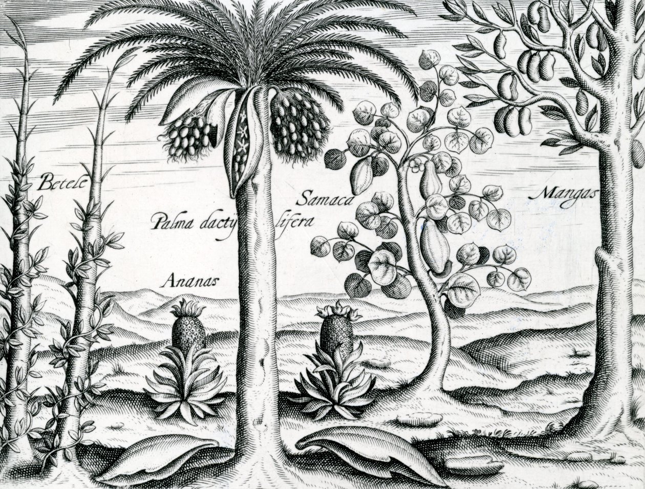 Landscape, Illustration from 