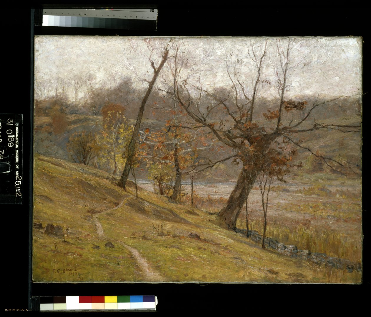 Üzüm Çiçeği (tuval üzerine yağlıboya) by Theodore Clement Steele