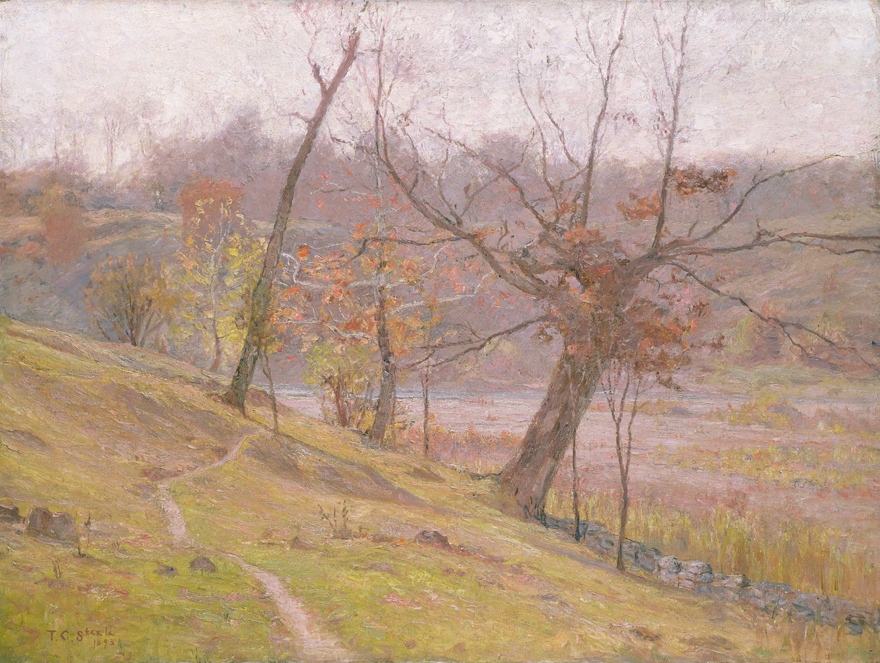 Üzüm Çiçeği by Theodore Clement Steele