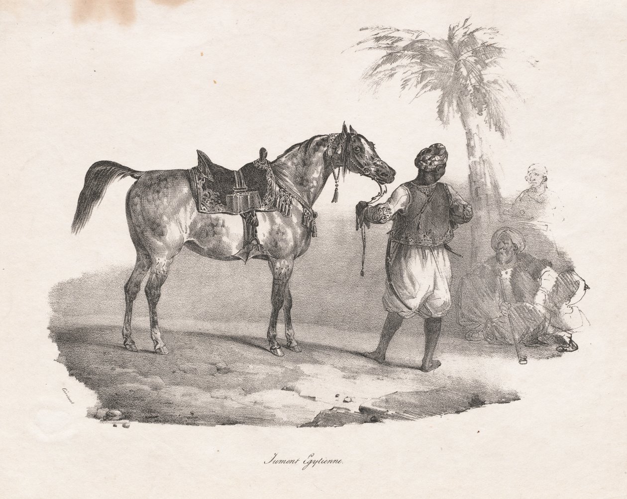 mısır kısrağı by Theodore Gericault