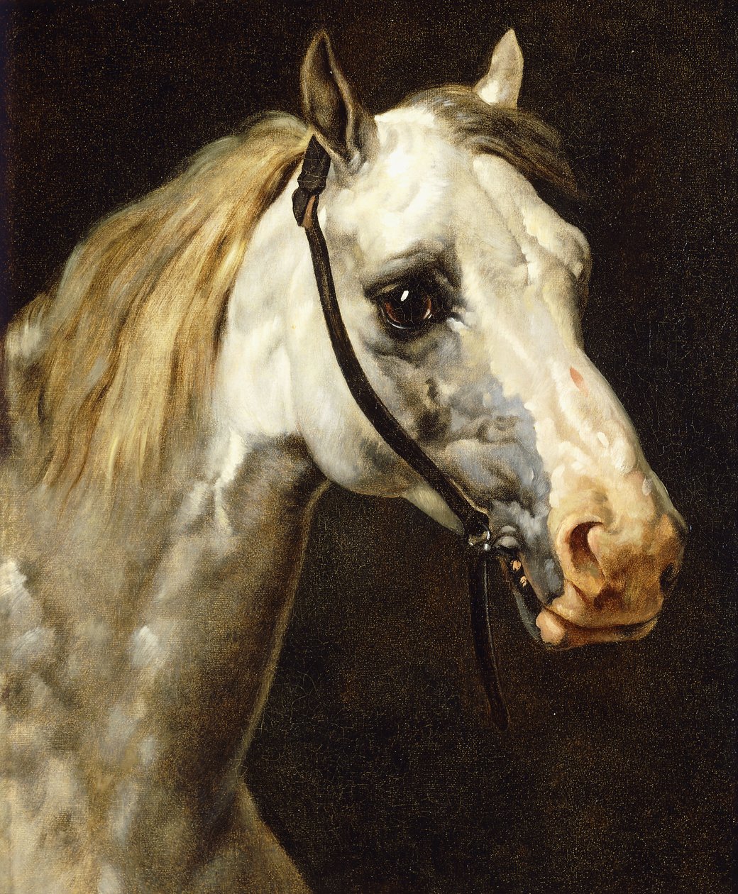 Benekli At Başkanı, by Theodore Gericault