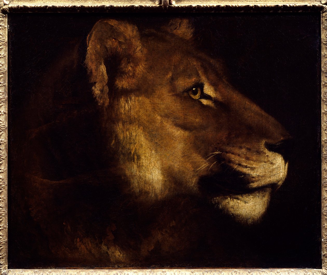 Aslan Başı Resmi Theodore Gericault (1791-1824) 19. yüzyıl Güneşi. 0,55x0,65 m Paris, Musee du Louvre. - Dişi aslan başkanı. Theodore Gericault