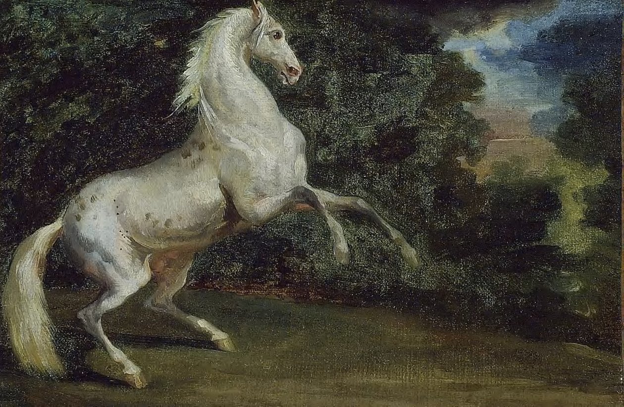 şahlanan at by Theodore Gericault