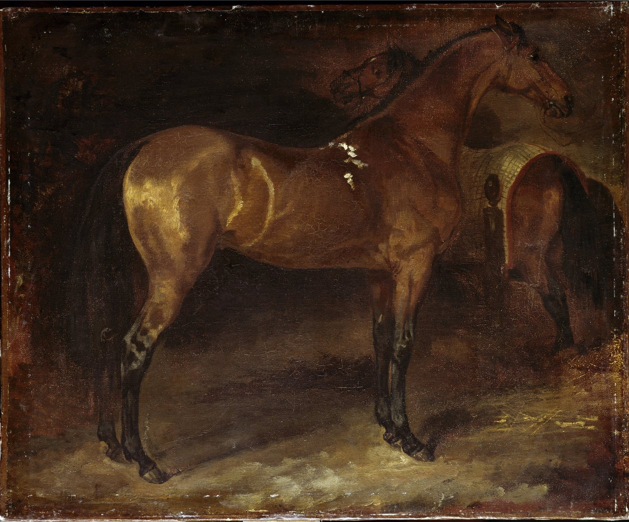 İspanyol Atı - tuval üzerine yağlıboya by Theodore Gericault