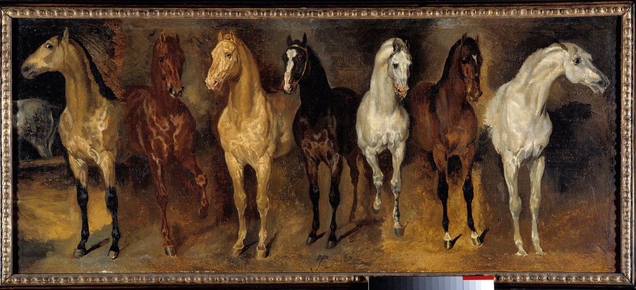 Göğüsler Önden yedi at. Theodore Gericault (1791-1824) tarafından yapılan resim 19. yüzyıl Güneşi. 0,39x0,94 m Özel koleksiyon - Yedi at sandığı (önden görünüm). Theodore Gericault