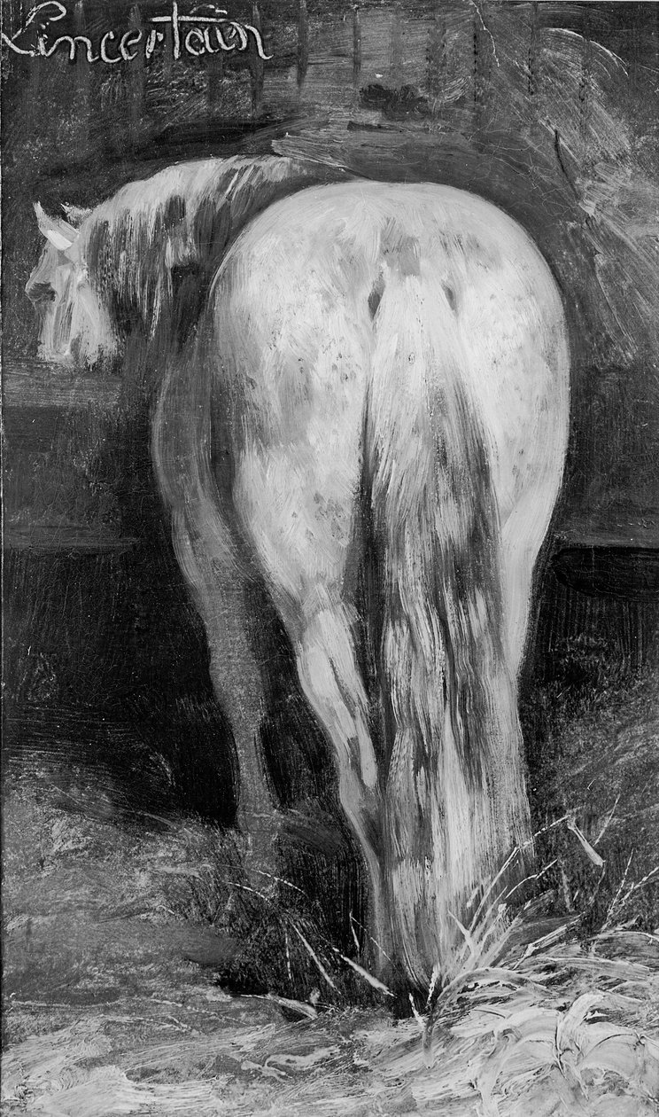 Belirsiz, Ahırdaki At by Theodore Gericault