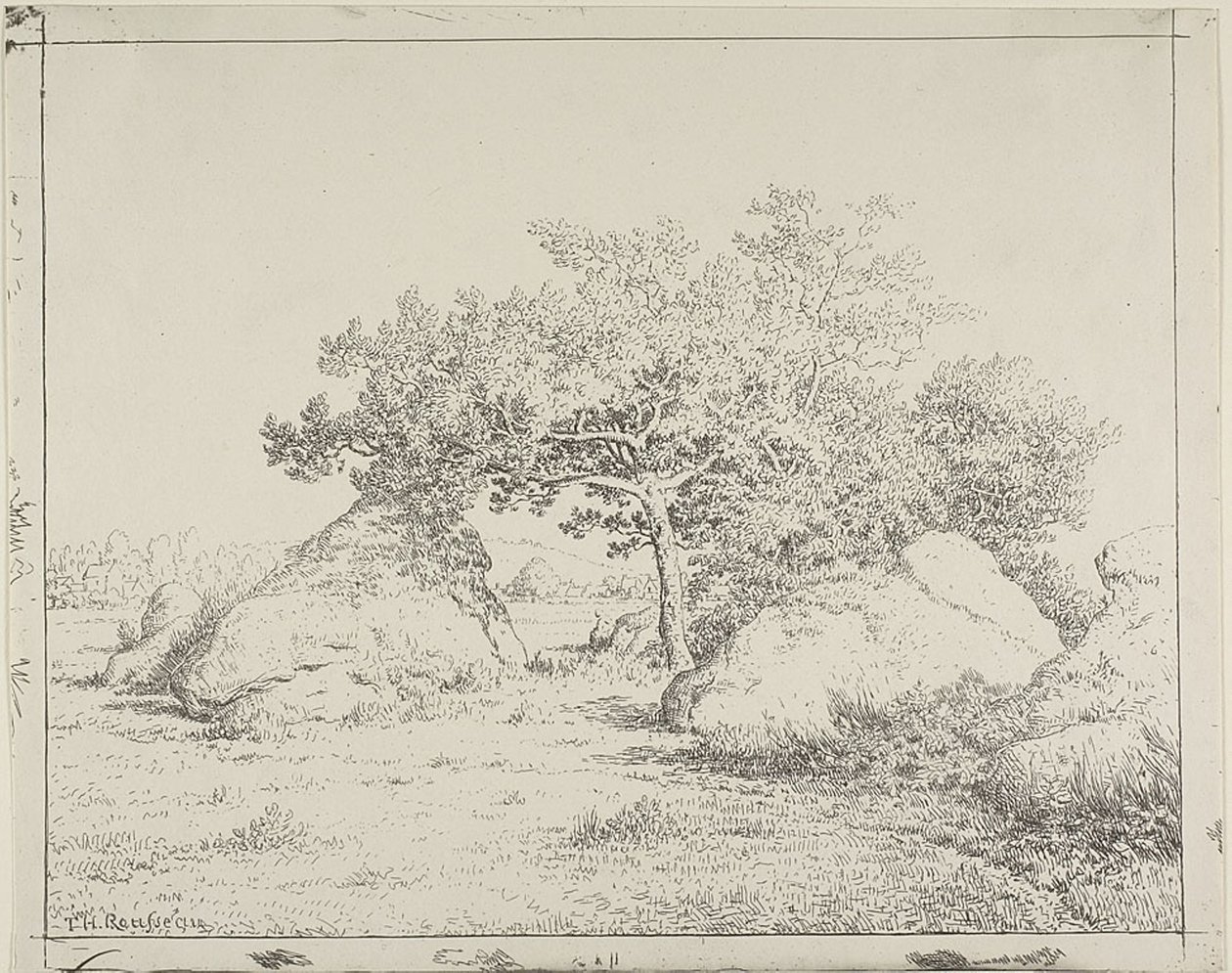 Plante à Biau