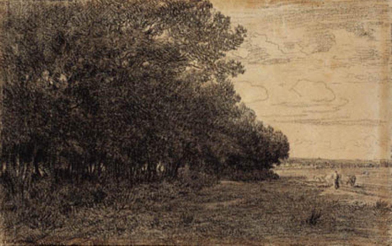 Macherin ormanında küçük bir grup uzun ağaç by Theodore Rousseau