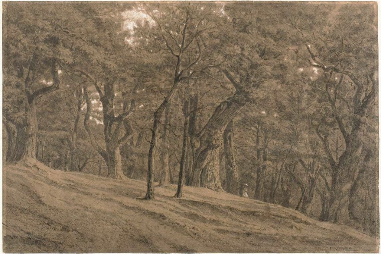  by Theodore Rousseau