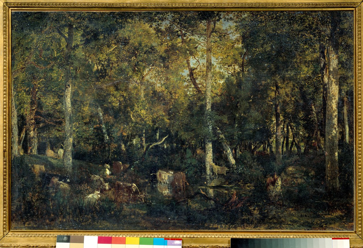 Bas-Breau Eski Yatakhanesi (Fontainebleau ormanı) adı verilen ahşap iç mekan, Theodore Rousseau (1812-1887) tarafından 1836 Sun tablosu. 0.65x1.03 m Paris, Orsay Müzesi by Pierre Etienne Theodore Rousseau