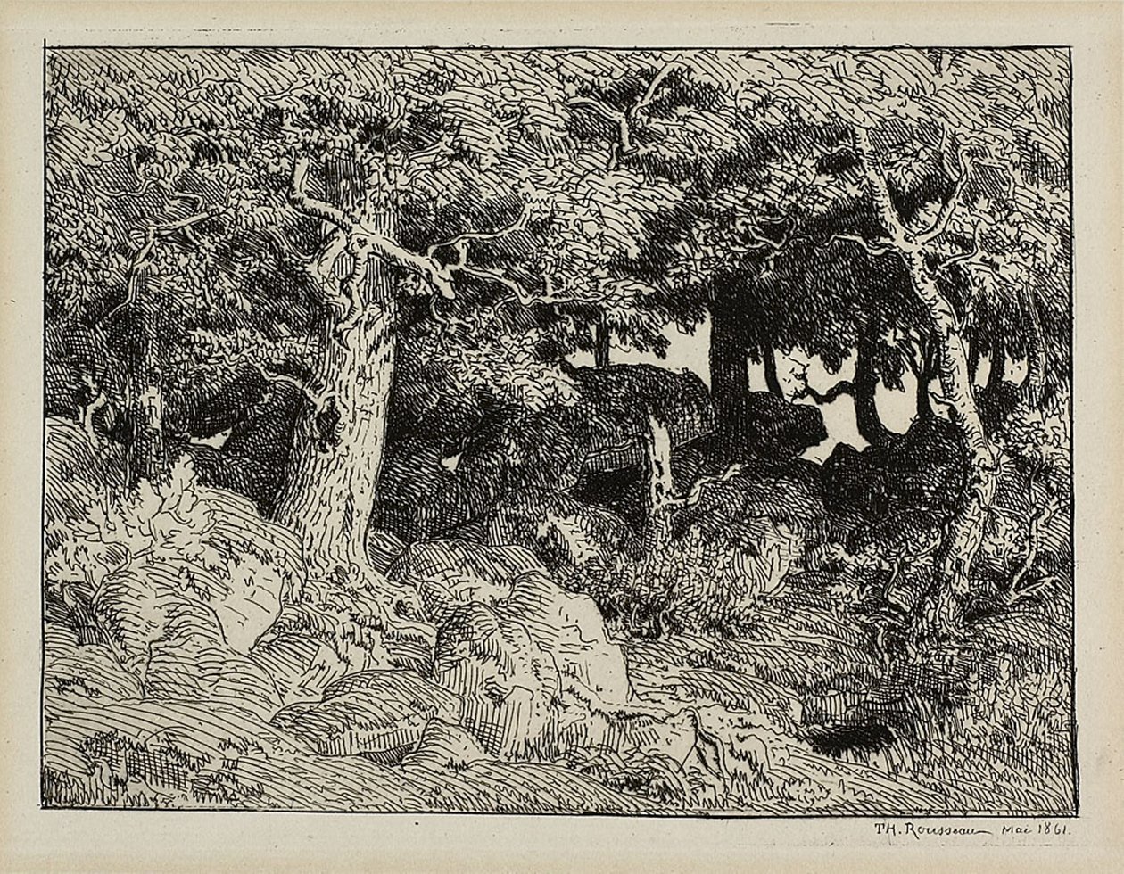 Kayalardan Meşe by Theodore Rousseau