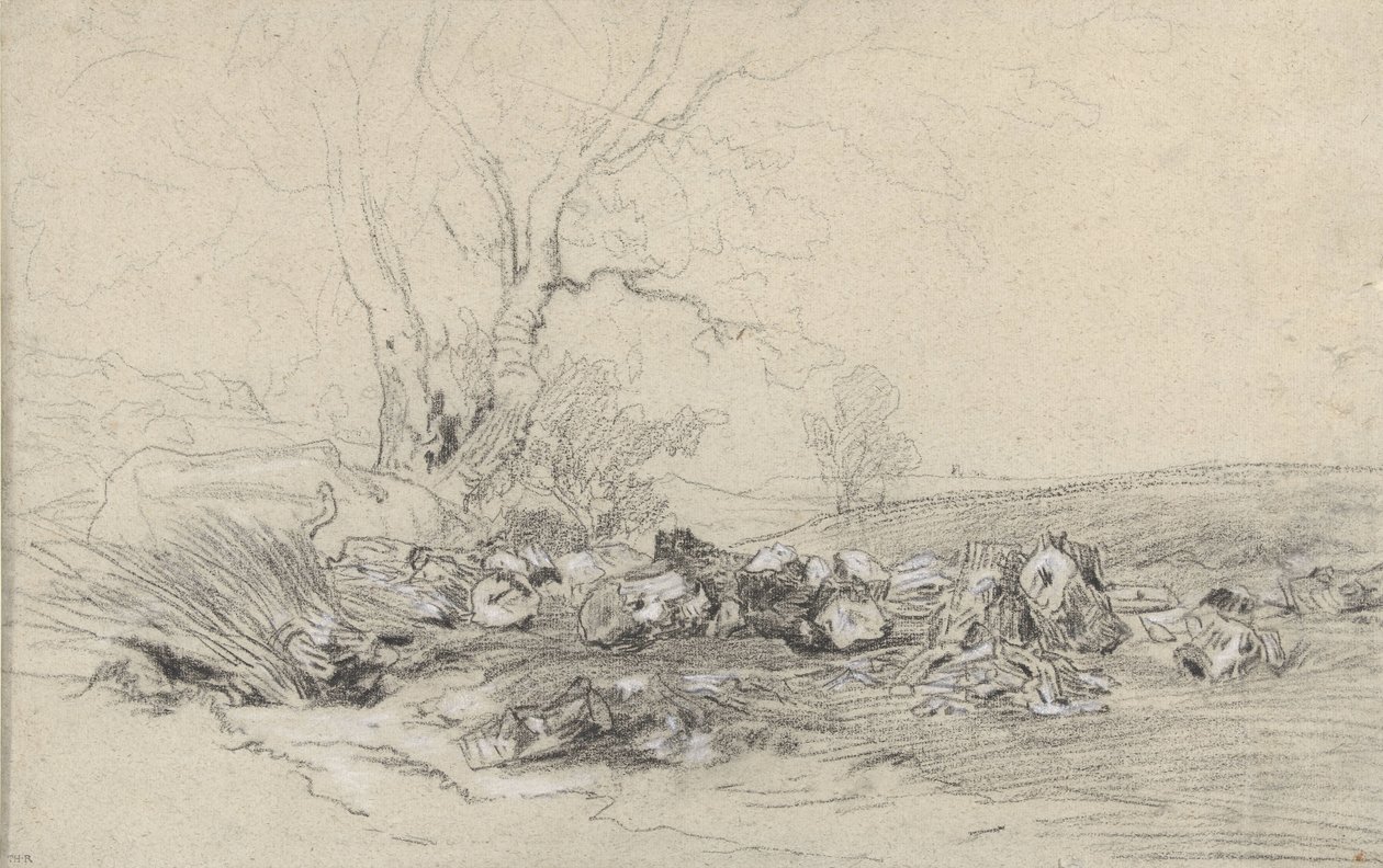 kesilen ağaçlar by Theodore Rousseau