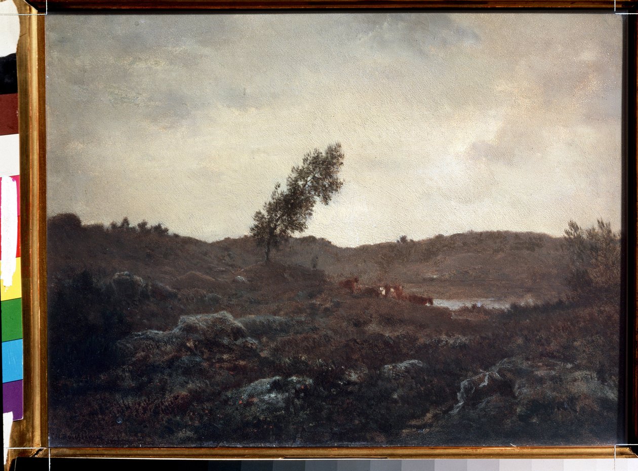 Barbizon Manzarası (Barbizon Manzarası). Theodore Rousseau