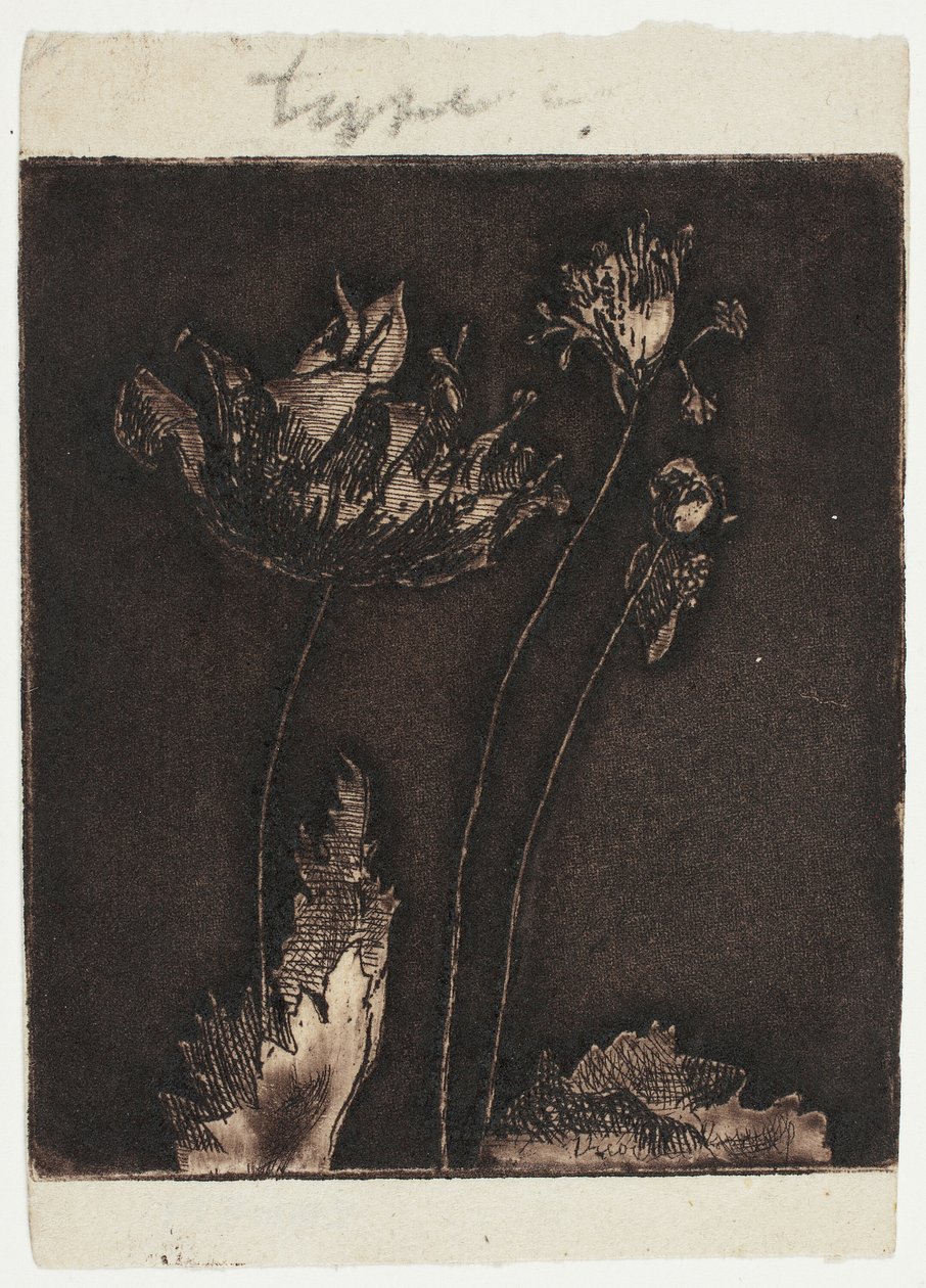 son haşhaş by Theodore Roussel