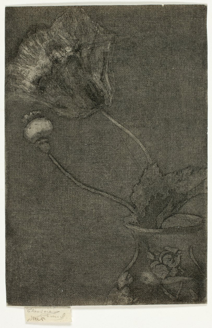 Vazoda Haşhaş by Theodore Roussel