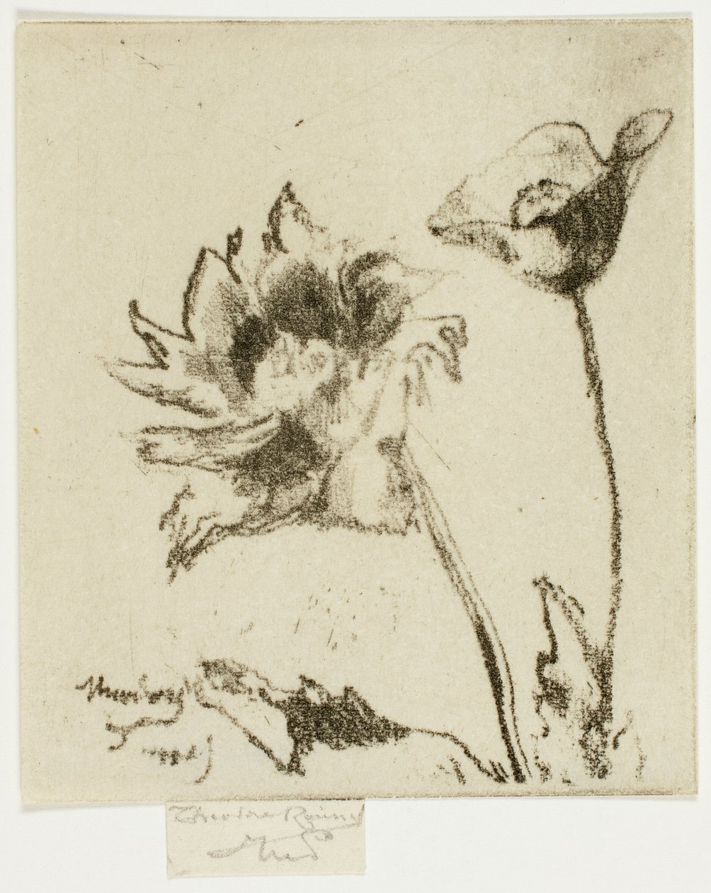 iki çiçek by Theodore Roussel
