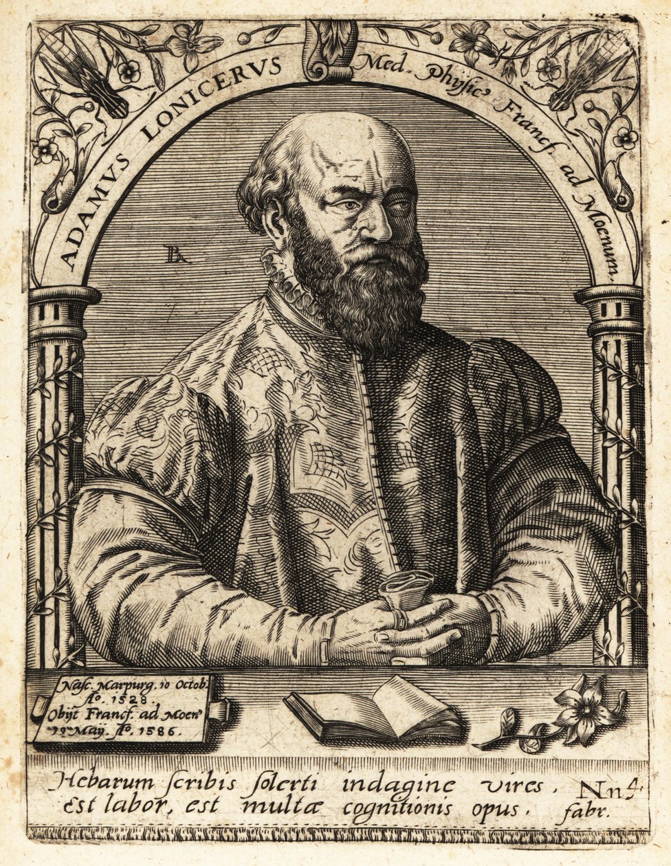 Adam Lonicer veya Lonitzer by Theodore de Bry