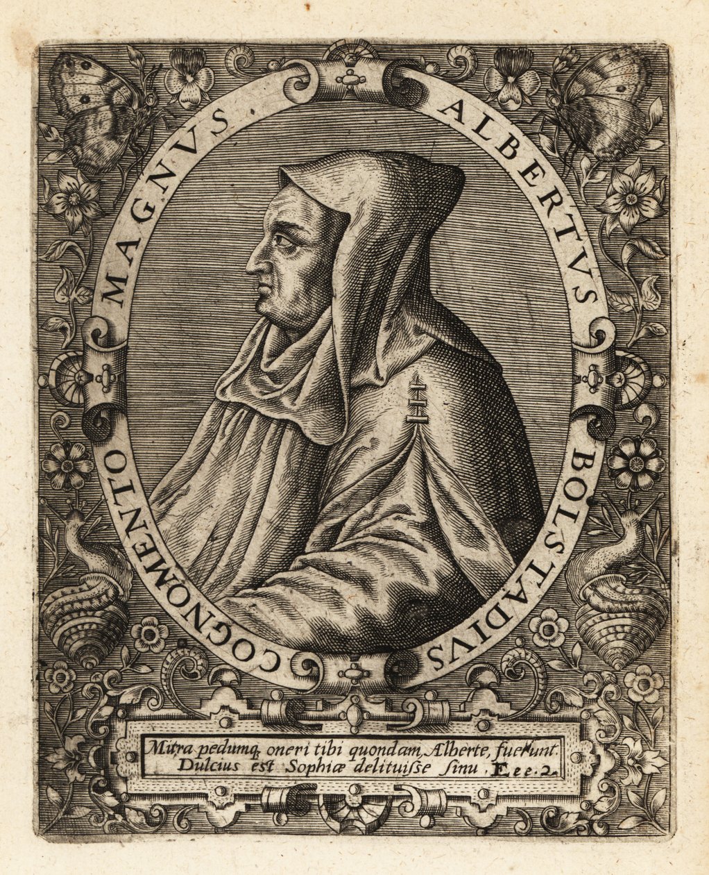 Albertus Magnus, Alman Katolik piskoposu. by Theodore de Bry