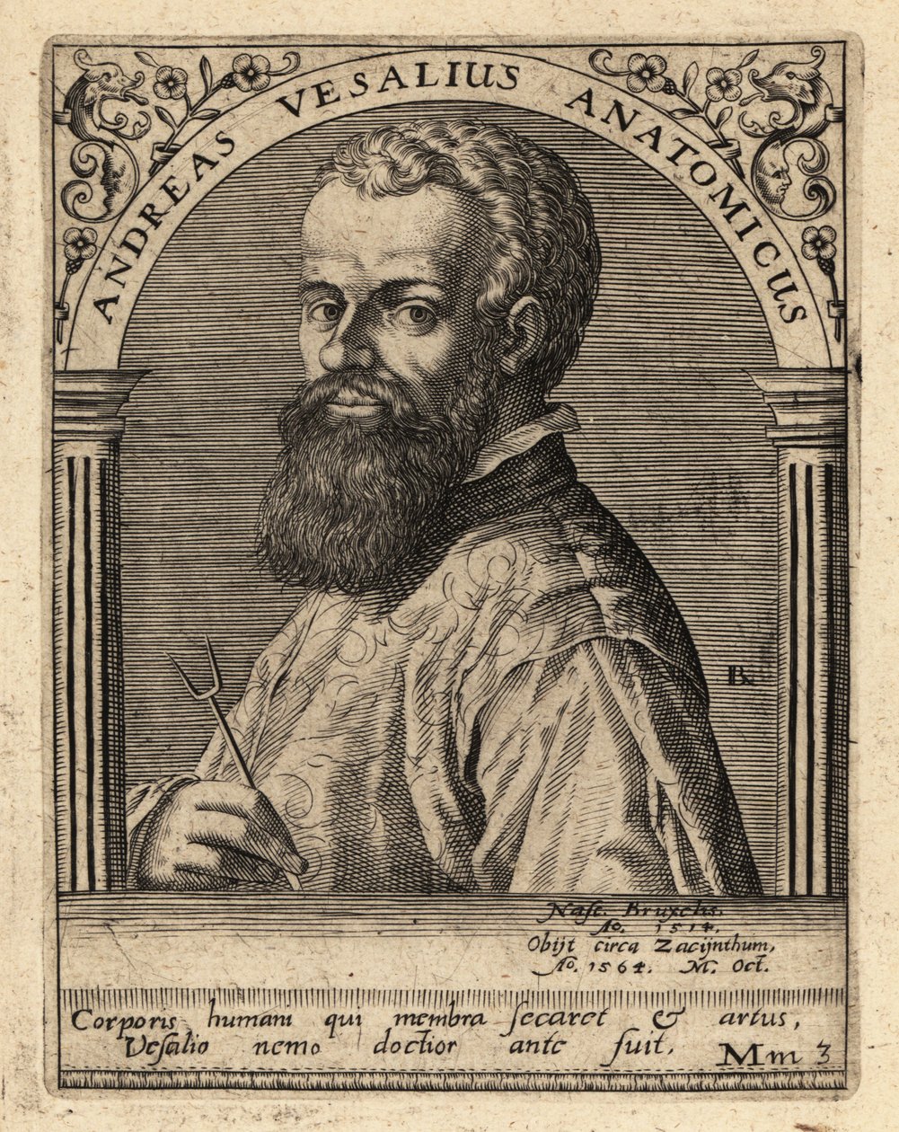 Andreas Vesalius, Flaman hekim, anatomist by Theodore de Bry
