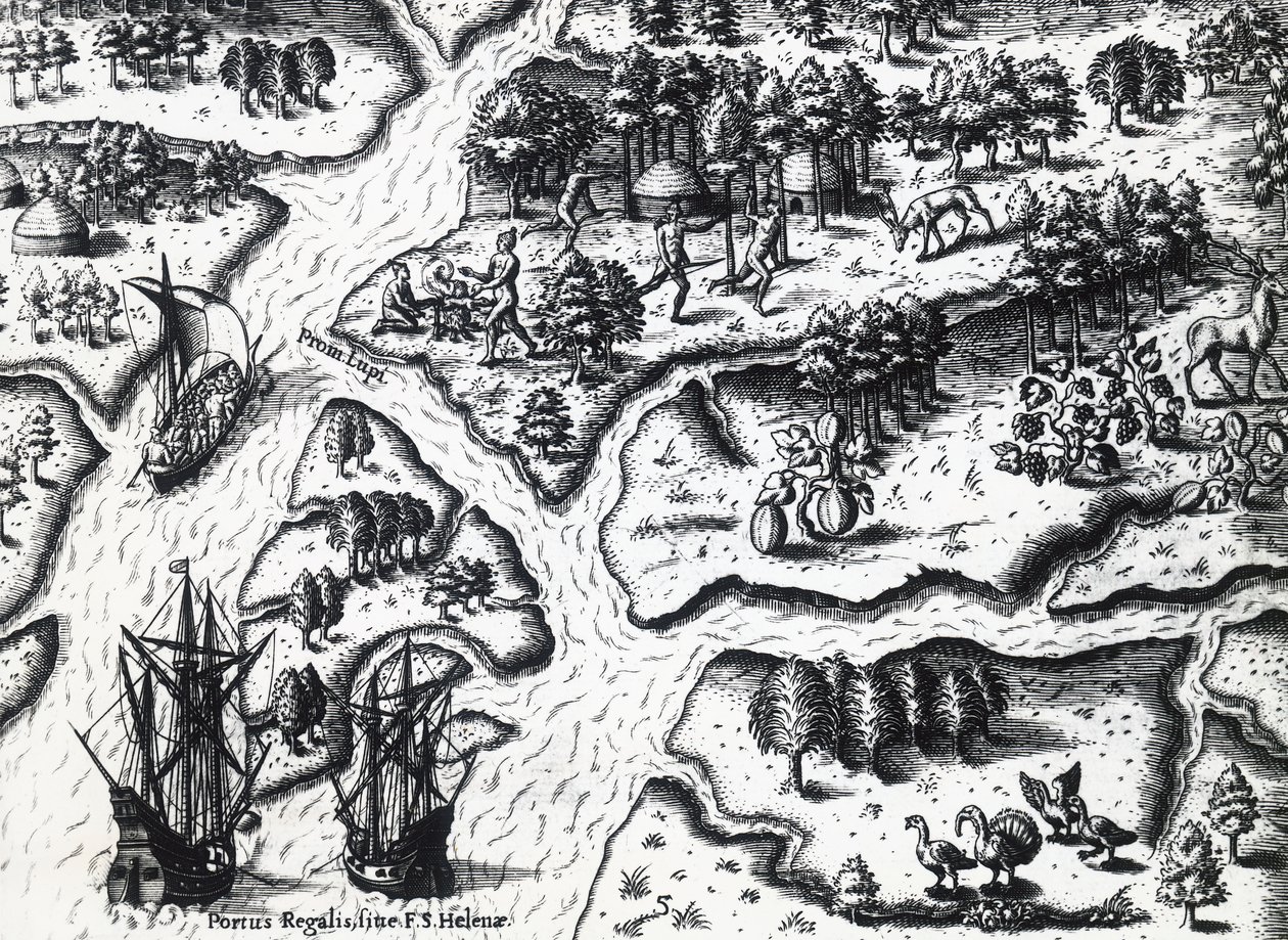 Fransızların 1564