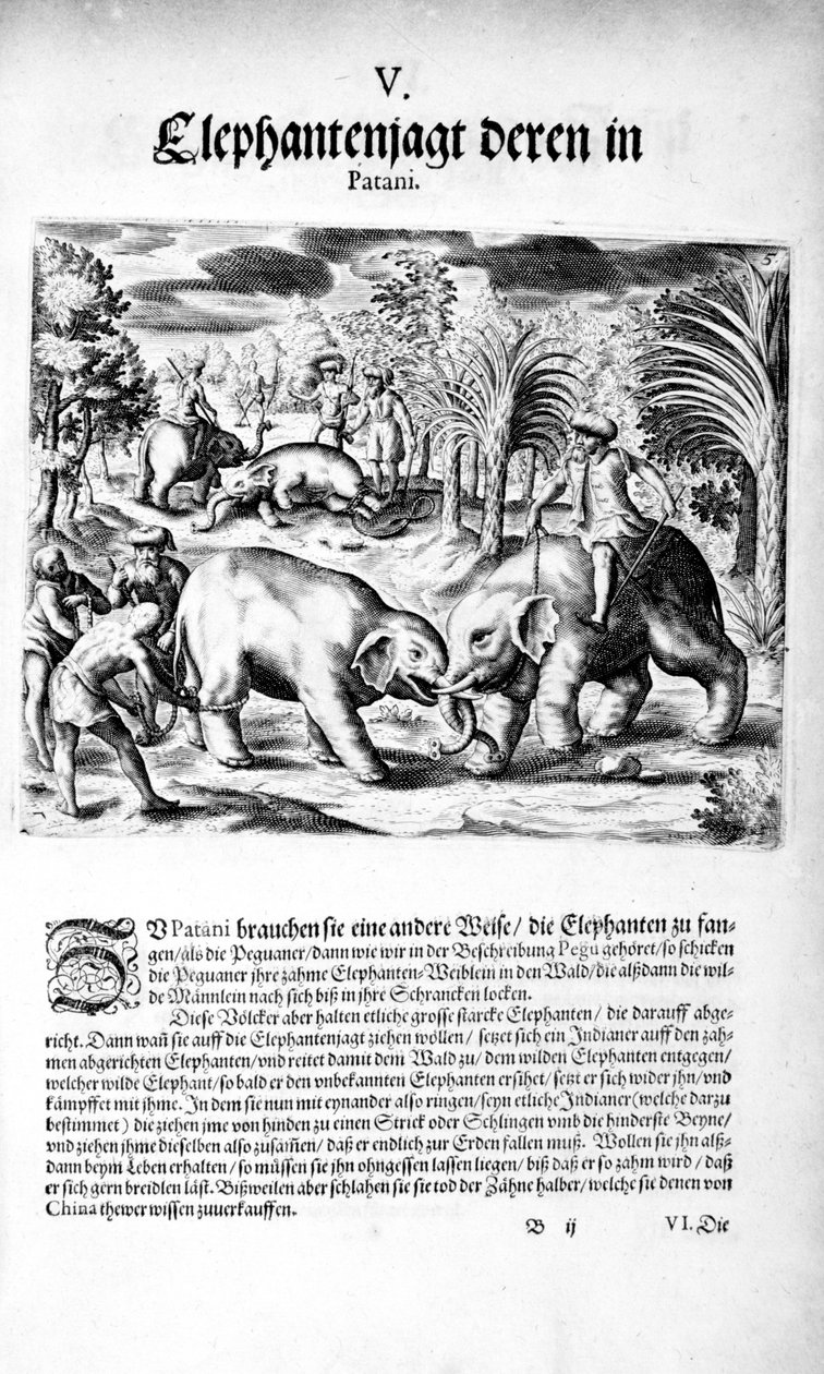Fillerin Kavgası, 1606 by Theodore de Bry