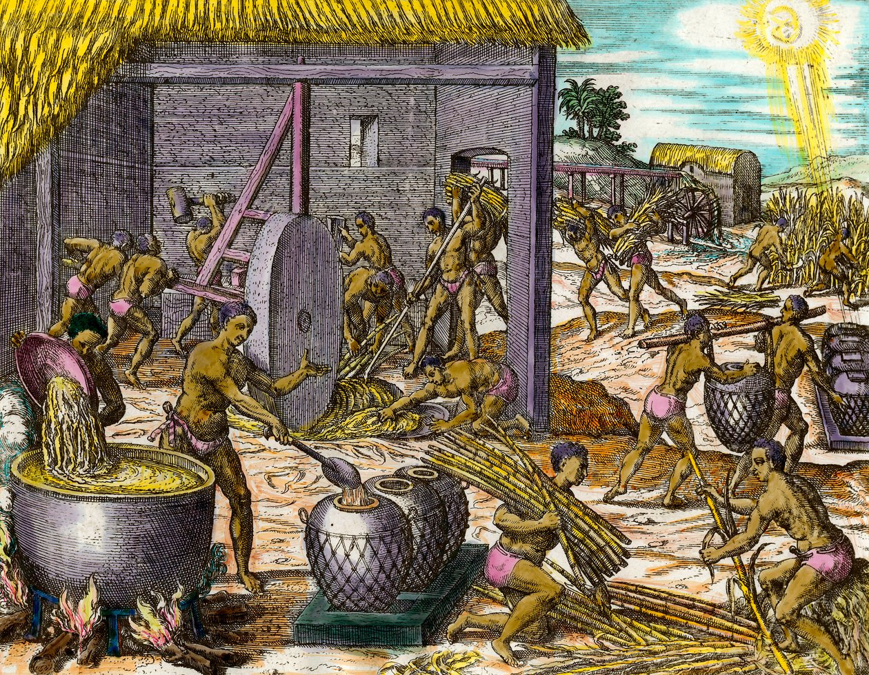 Amerika Tarihi: şeker kamışı toplamak ve şeker yapmak. Theodore De Bry (1528-1598) tarafından gravür 16. yüzyıl Özel koleksiyon by Theodore de Bry
