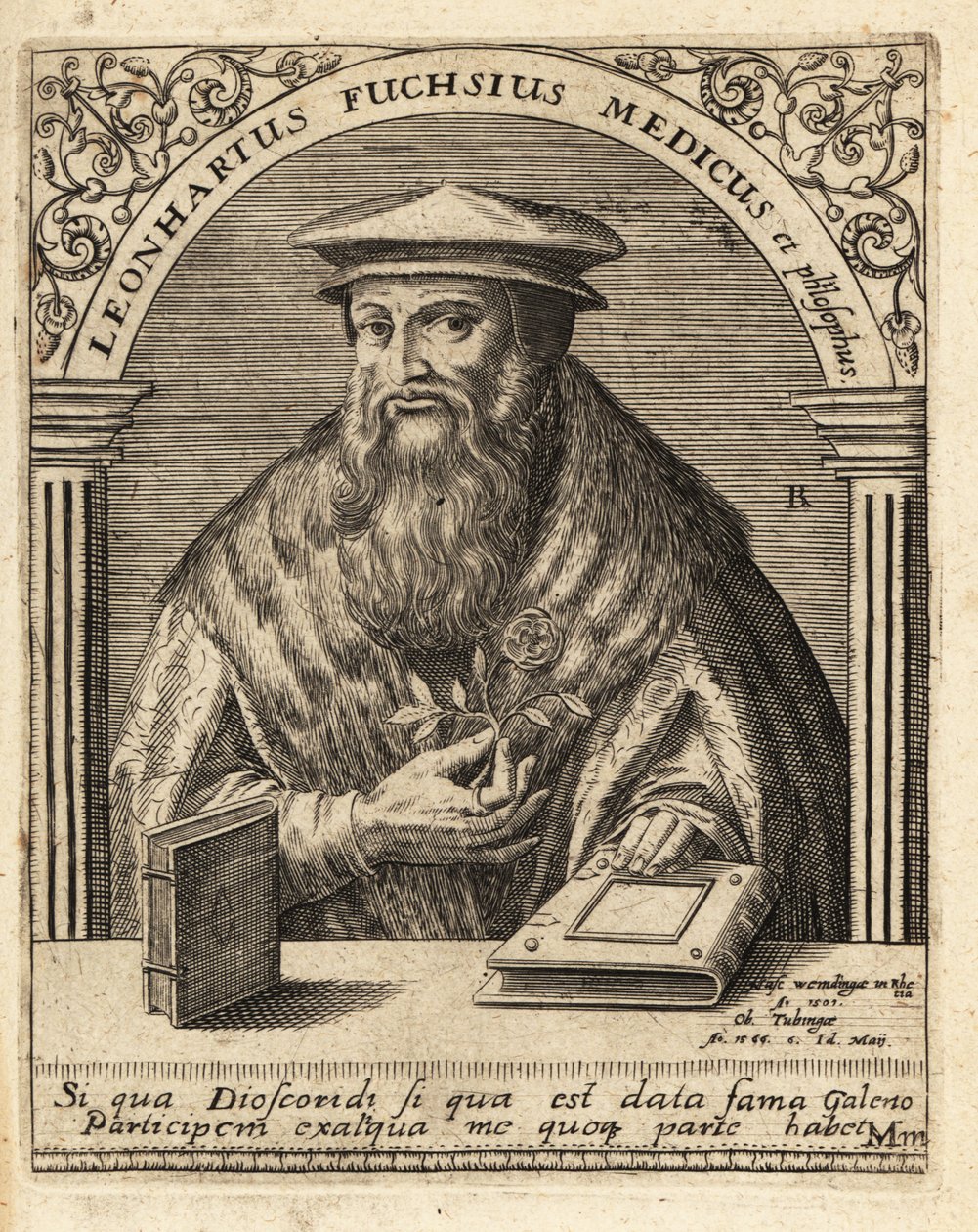 Leonhart Fuchs, Alman doktor ve botanikçi 1501-1566. by Theodore de Bry