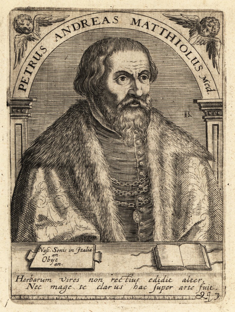 Pietro Andrea Gregorio Mattioli, İtalyan doktor by Theodore de Bry